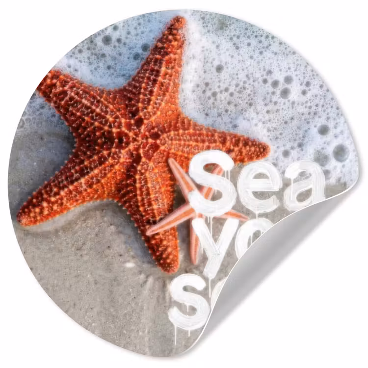 Sea you soon - Zeester - Zee Wandcirkel behangsticker klein -3d