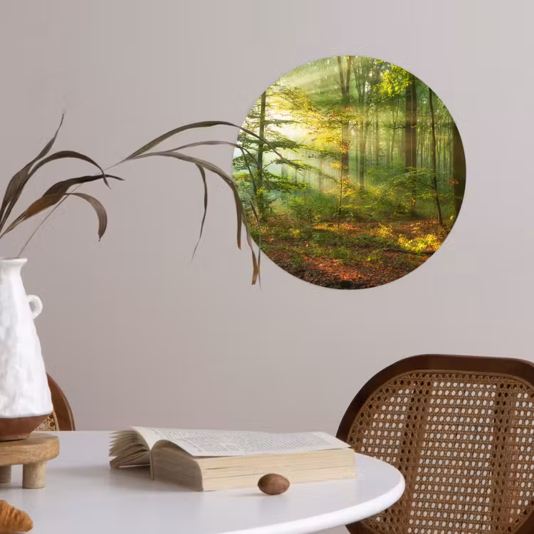 Zon - Bos - Bomen - Natuur - Herfst Wandcirkel behangsticker klein -sfeer3