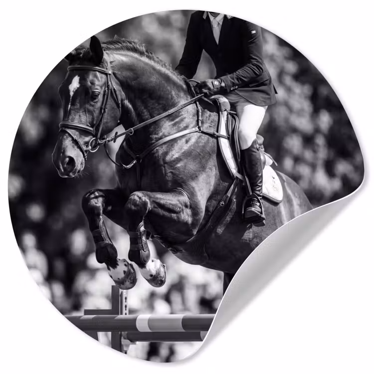 Springen - Paard - Zwart - Wit Wandcirkel behangsticker klein -3d