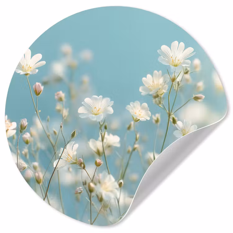 Stengels - Bloemen - Lucht - Wit Wandcirkel behangsticker klein -3d