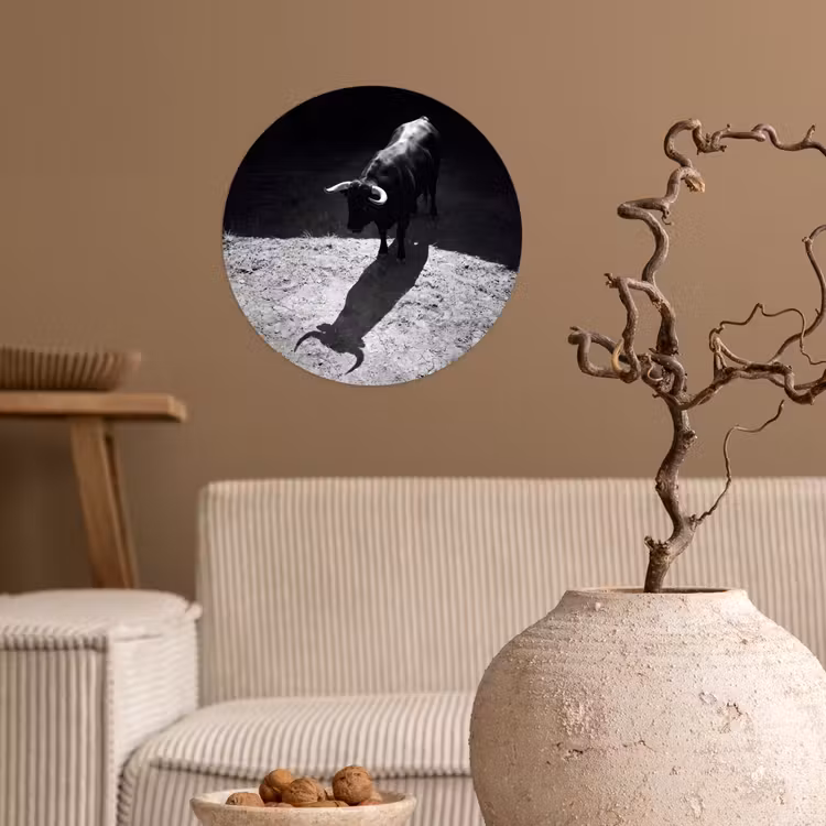 Stier - Schaduw - Dieren - Contrast - Zwart-wit Wandcirkel behangsticker klein -sfeer1