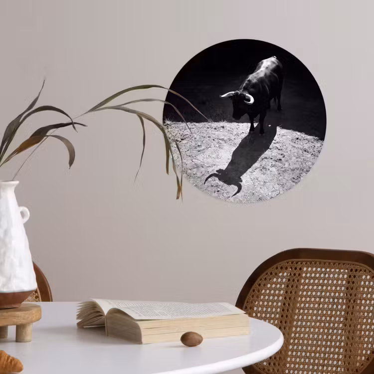 Stier - Schaduw - Dieren - Contrast - Zwart-wit Wandcirkel behangsticker klein -sfeer3