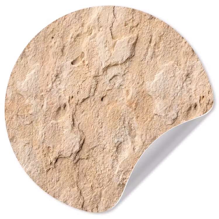 Textuur - Steen - Natuur - Beige Wandcirkel behangsticker klein -3d