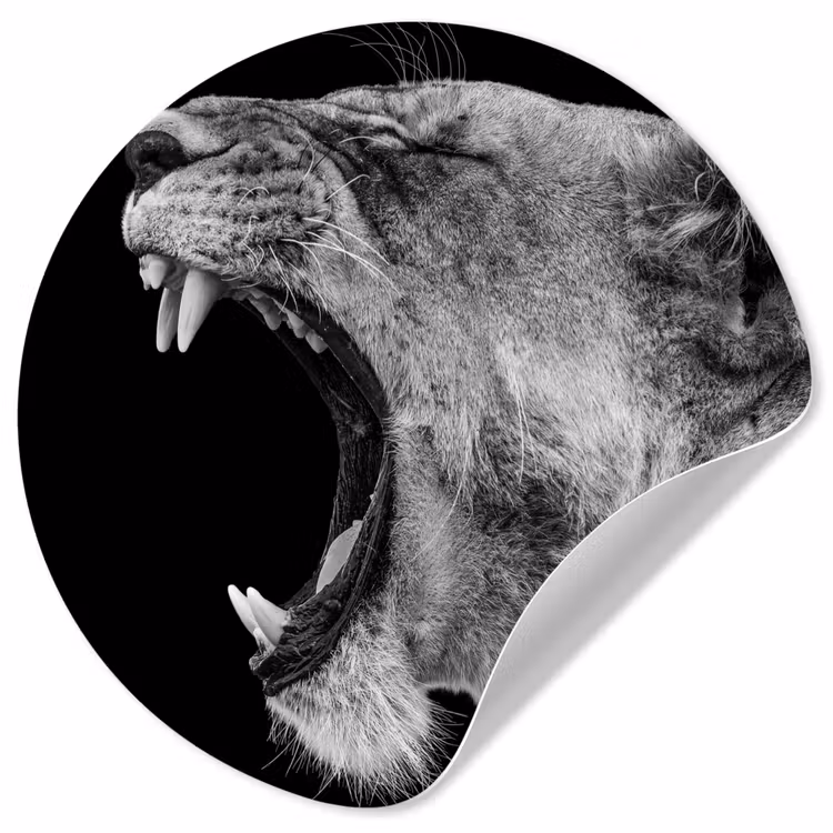 Dieren - Leeuw - Zwart - Wit - Portret Wandcirkel behangsticker klein -3d