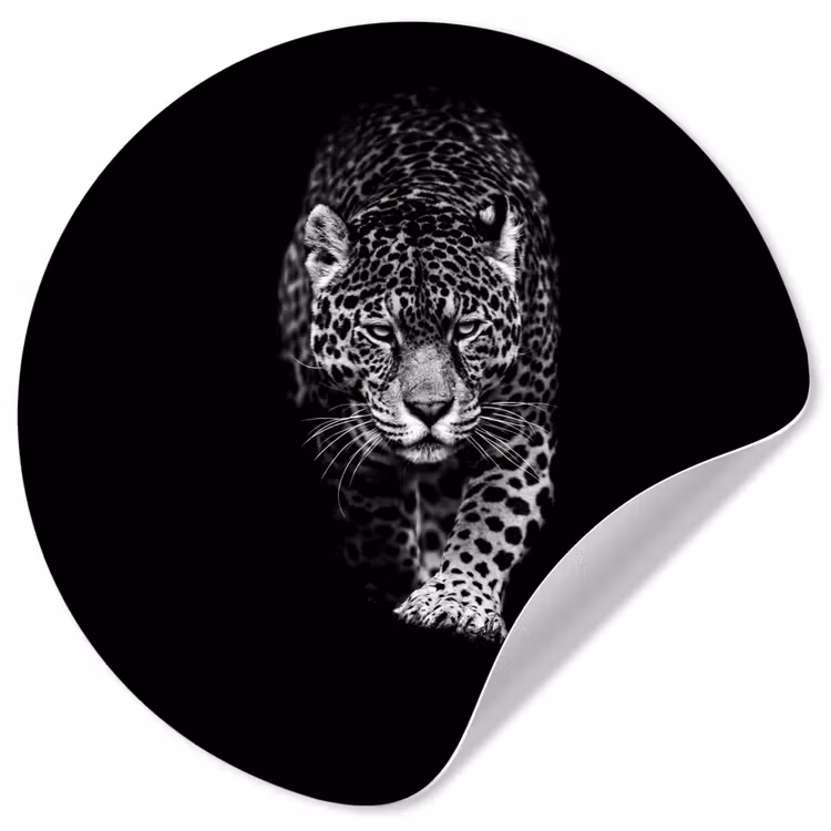 Dieren - Zwart - Luipaard - Wit - Wild Wandcirkel behangsticker klein -3d