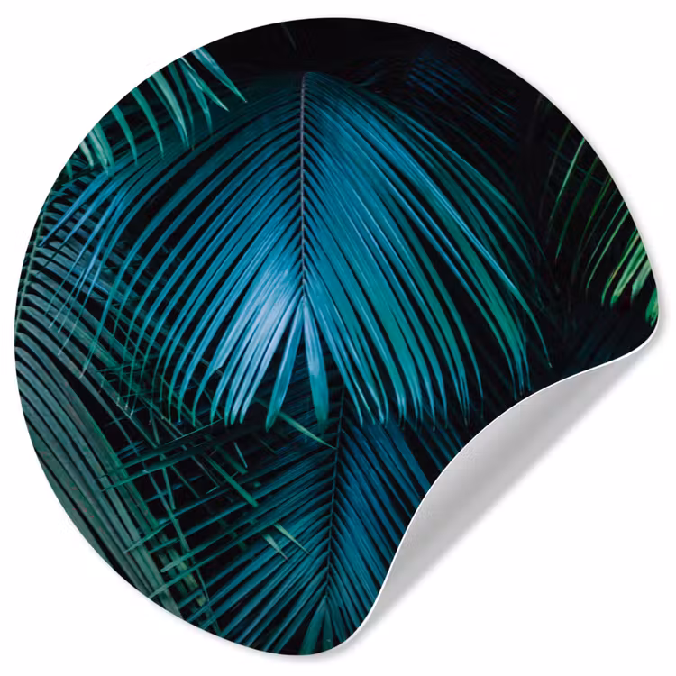 Inductie beschermer - Inductie afdekplaat - Tropical - Jungle - Bladeren - Groen Wandcirkel behangsticker klein -3d