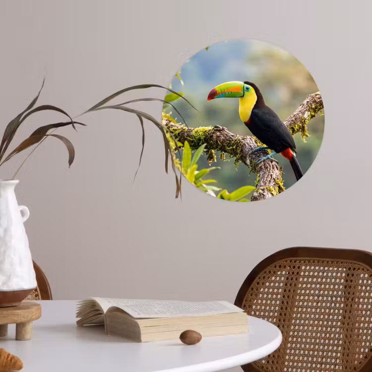 Toekan - Jungle - Natuur - Kleurrijk Wandcirkel behangsticker klein -sfeer3