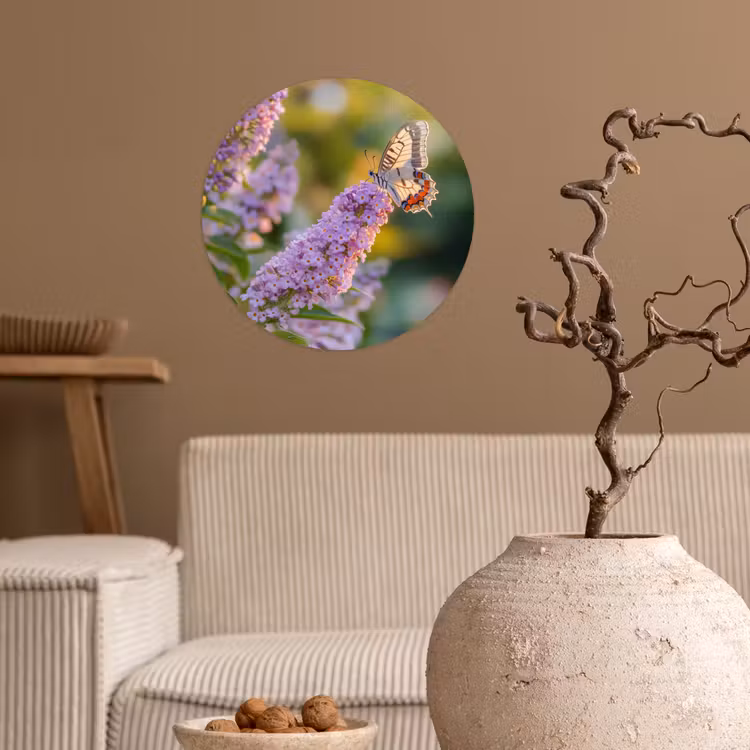 Sierlijke - Vlinder - Paarse - Bloemen Wandcirkel behangsticker klein -sfeer1