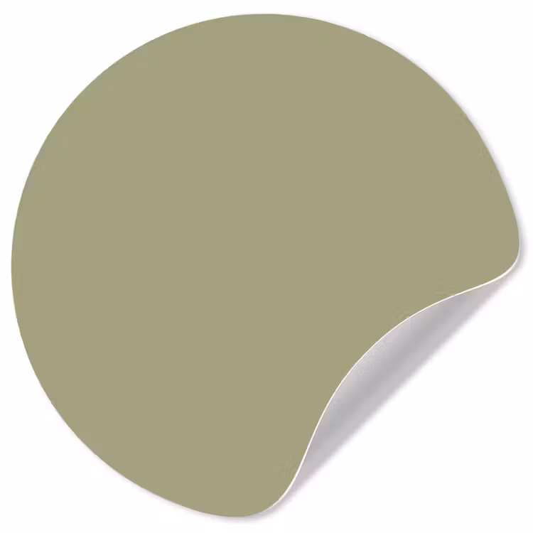 Vintage - Sage - Groen Wandcirkel behangsticker klein 186 -3d