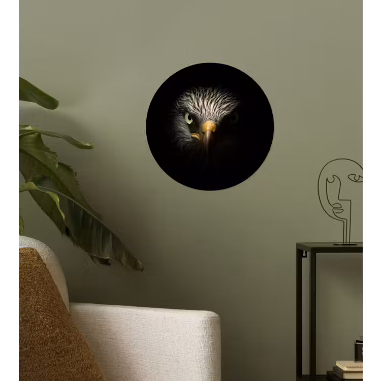 Vogel - Adelaar - Roofvogels - Oog - Snavel - Licht Wandcirkel behangsticker klein -sfeer2