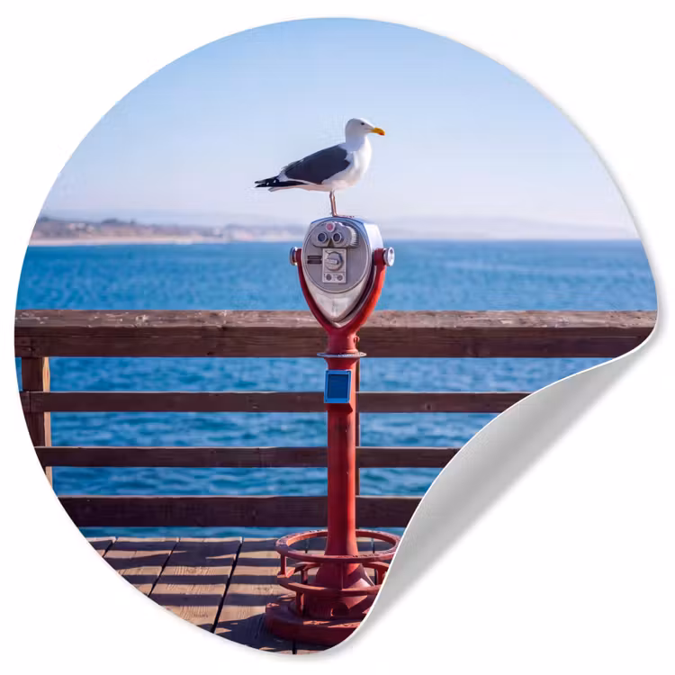 Vogel - Verrekijker - Kust - Zee - Blauw Wandcirkel behangsticker klein -3d