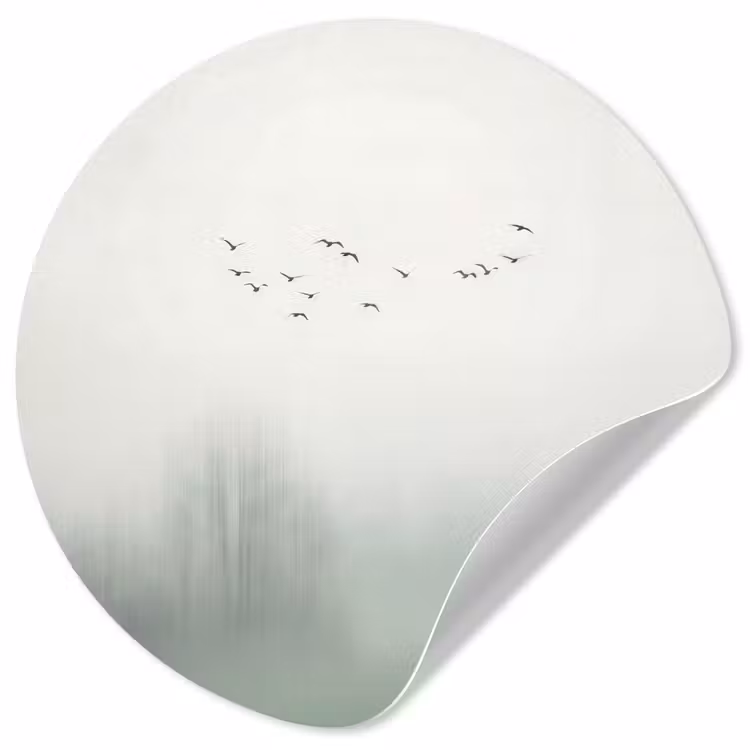 Vogel - Vlucht - Natuur - Minimalistisch Wandcirkel behangsticker klein -3d