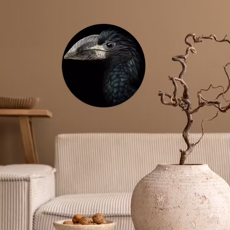 Vogel - Portret - Neushoornvogel - Zwart - Dieren Wandcirkel behangsticker klein -sfeer1