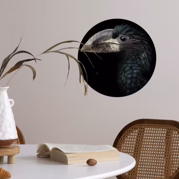 Vogel - Portret - Neushoornvogel - Zwart - Dieren Wandcirkel behangsticker klein -sfeer3