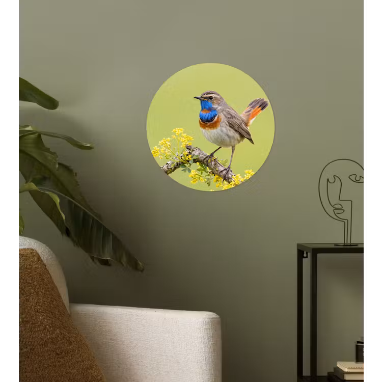 Vogel - Tak - Natuur - Kleurrijk Wandcirkel behangsticker klein -sfeer2