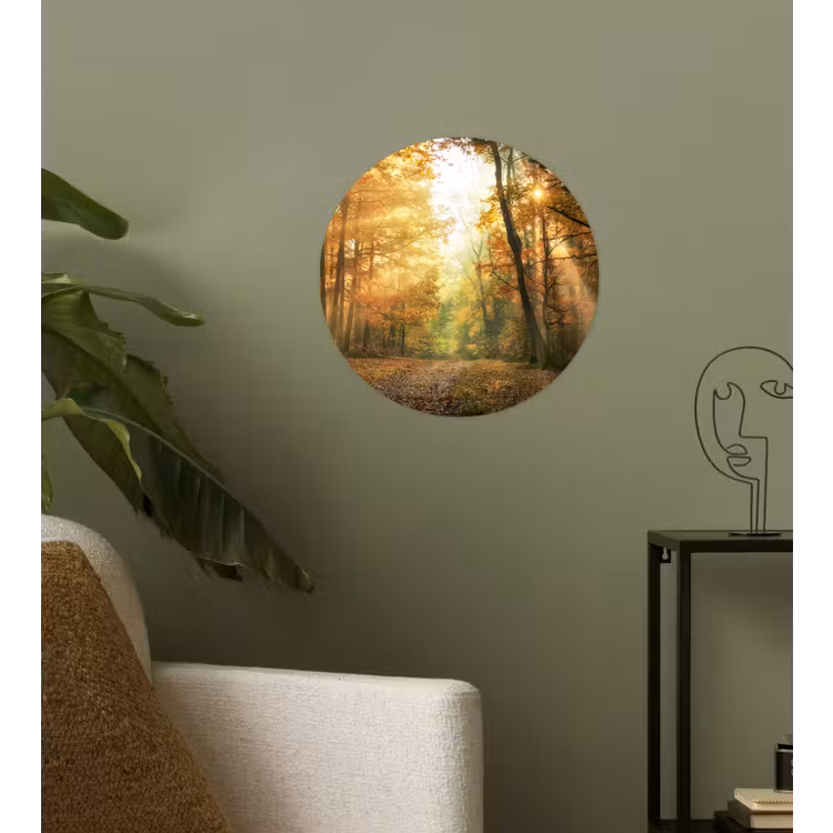 Bos - Herfst - Zon - Landschap - Natuur - Bomen - Bladeren Wandcirkel behangsticker klein -sfeer2