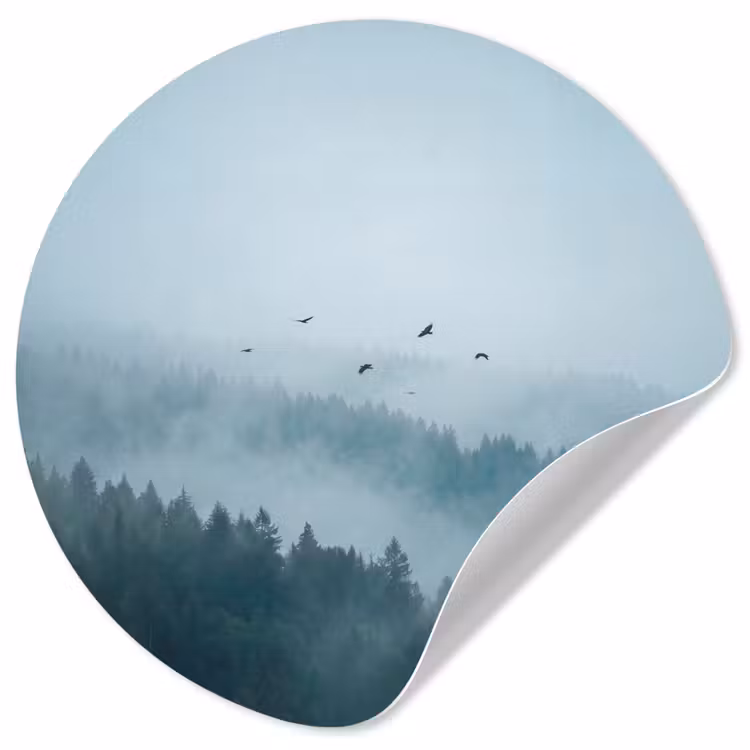 Bos - Mist - Vogels - Natuur - Groen Wandcirkel behangsticker klein -3d