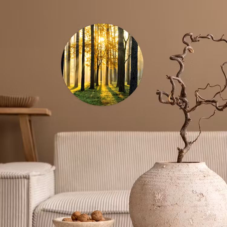 Bos - Zon - Bomen - Gras - Landschap - Natuur Wandcirkel behangsticker klein -sfeer1