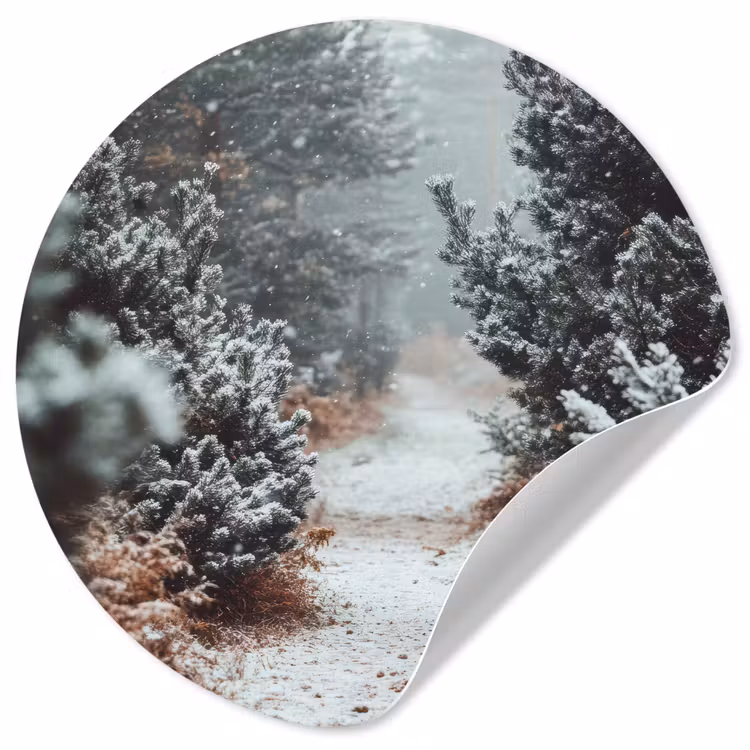 Bos - Winter - Bomen - Natuur - Pad - Sneeuw Wandcirkel behangsticker klein -3d