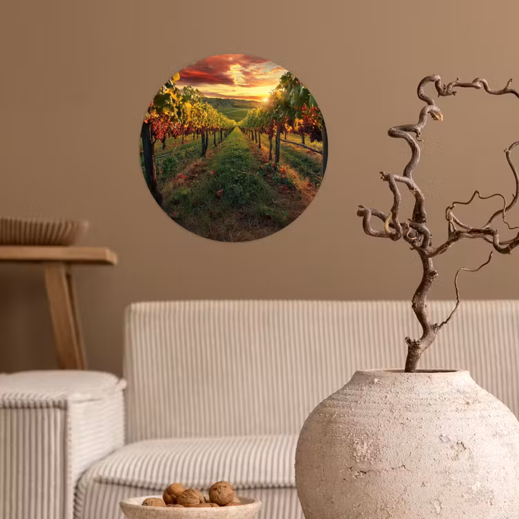 Wijngaard - Druiven - Zonsondergang Wandcirkel behangsticker klein -sfeer1