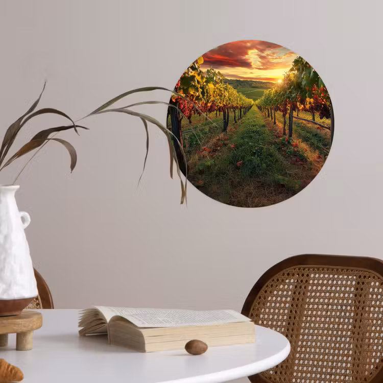 Wijngaard - Druiven - Zonsondergang Wandcirkel behangsticker klein -sfeer3