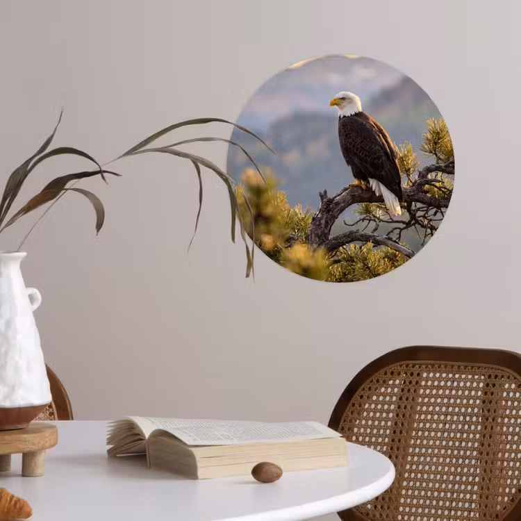 Zeearend - Boom - Bergen - Groen Wandcirkel behangsticker klein -sfeer3