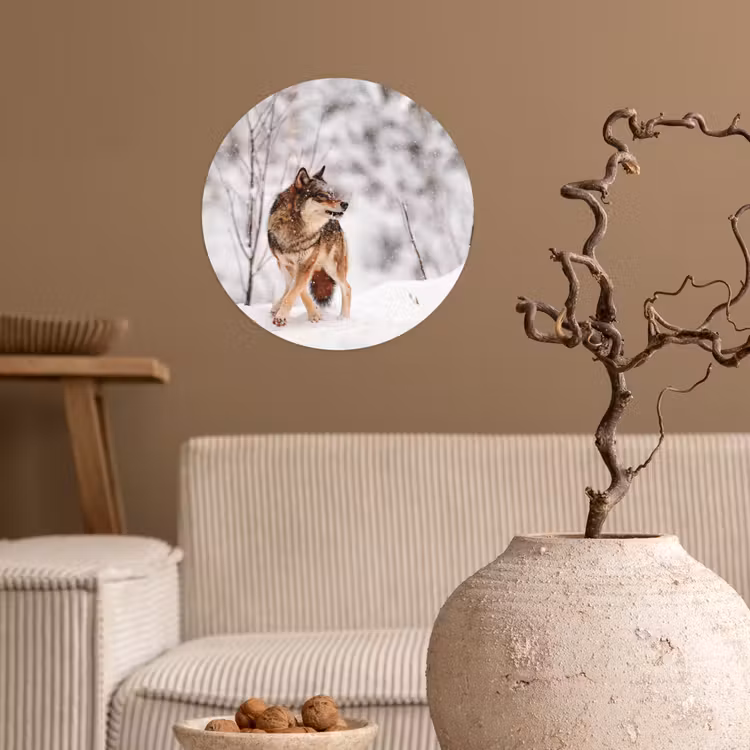 Wolf - Winter - Sneeuw - Natuur - Dieren Wandcirkel behangsticker klein -sfeer1