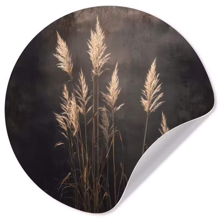 Siergras - Pluimen - Verlichting - Zwart Wandcirkel behangsticker klein -3d