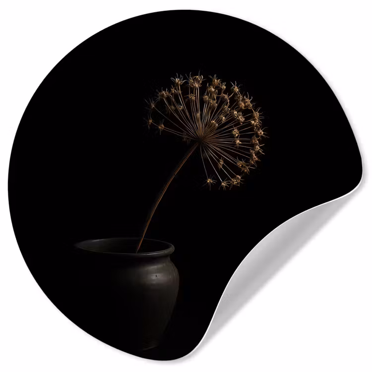Bol - Gedroogd - Vaas - Zwart Wandcirkel behangsticker klein -3d