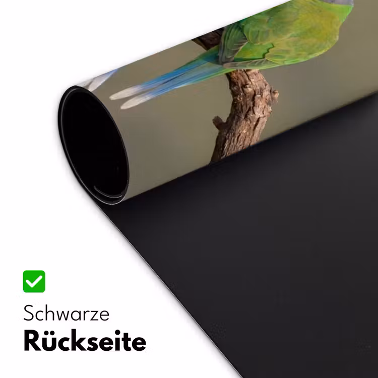 Papagaai - Tak - Natuur - Kleurrijk Muismat XXL klein -ysfeer2_duits