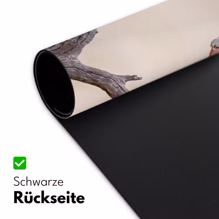 Papagaai - Tak - Roze Muismat XXL klein -ysfeer2_duits