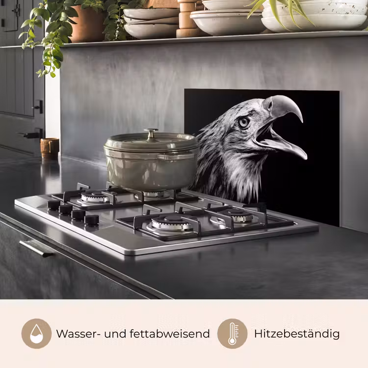 Adelaar - Portret - Roofvogels - Zwart - Wit - Vogel keuken achterwand spatscherm klein -usp_DE