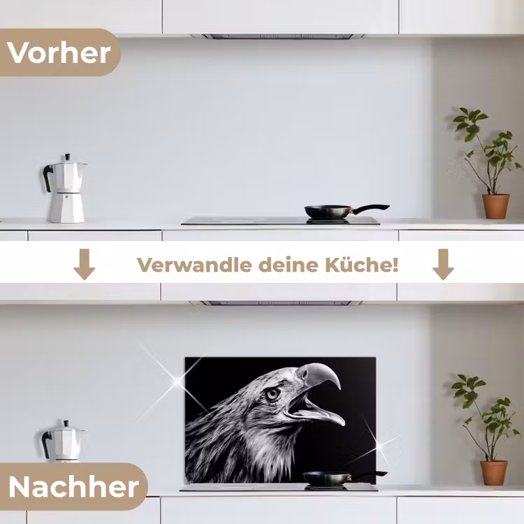 Adelaar - Portret - Roofvogels - Zwart - Wit - Vogel keuken achterwand spatscherm klein -voor_na_DE