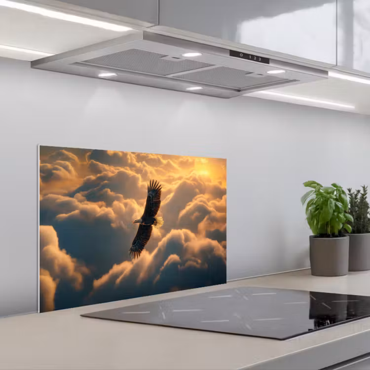 Adelaar - Wolken - Zon keuken achterwand spatscherm klein -3d_schuin