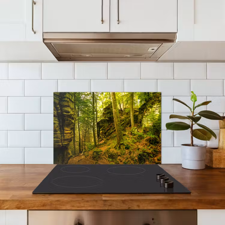 Bomen - Steen - Bos - Natuur - Planten keuken achterwand spatscherm klein -sfeer2