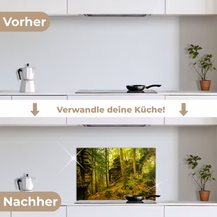 Bomen - Steen - Bos - Natuur - Planten keuken achterwand spatscherm klein -voor_na_DE
