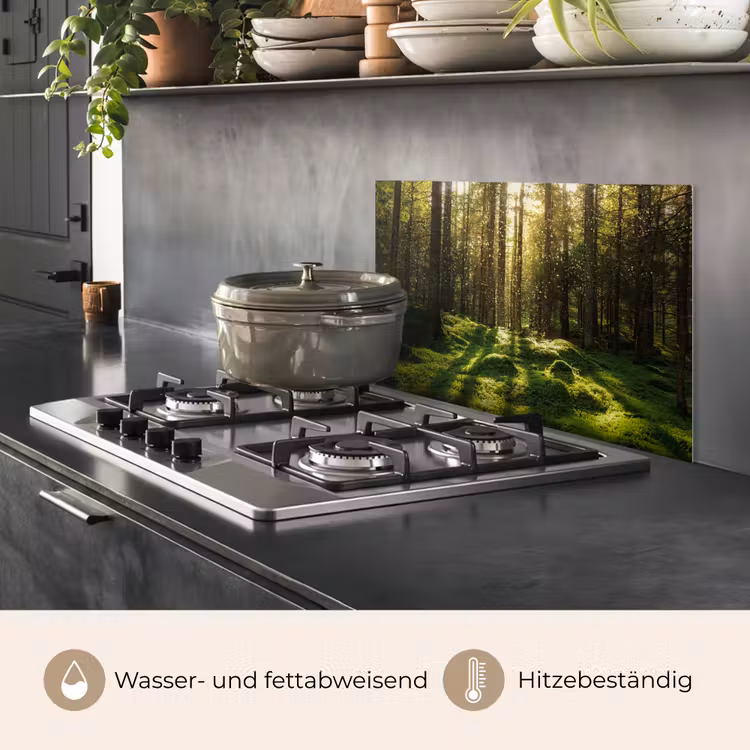 Bomen - Bos - Mos - Planten - Zon - Natuur keuken achterwand spatscherm klein -usp_DE