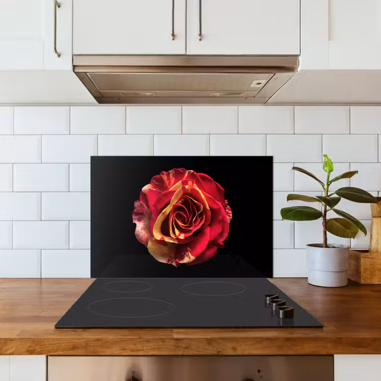 Bloem - Roos - Rood - Zwart keuken achterwand spatscherm klein -sfeer2