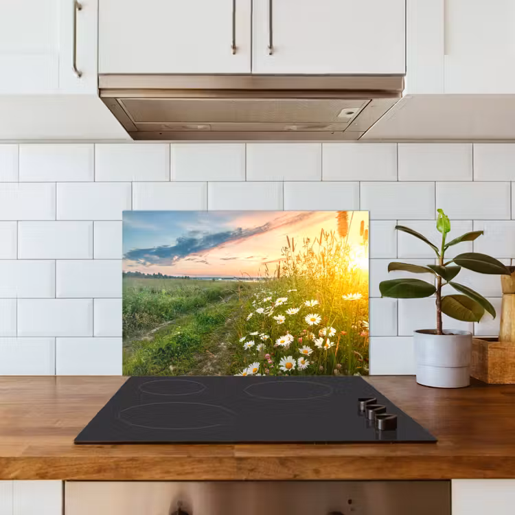 Bloemen - Madelief - Natuur - Zon - Horizon keuken achterwand spatscherm klein -sfeer2