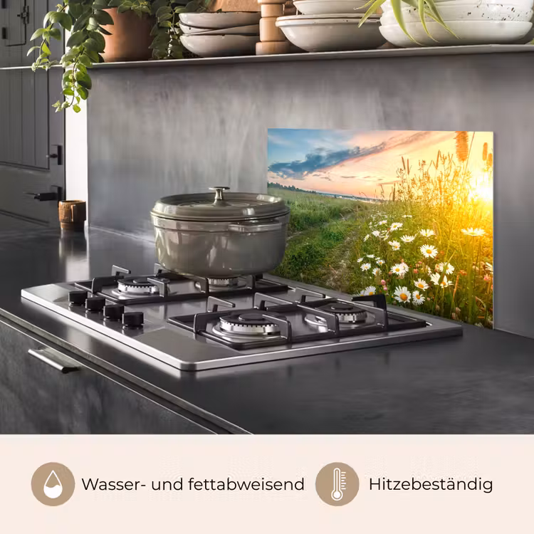Bloemen - Madelief - Natuur - Zon - Horizon keuken achterwand spatscherm klein -usp_DE