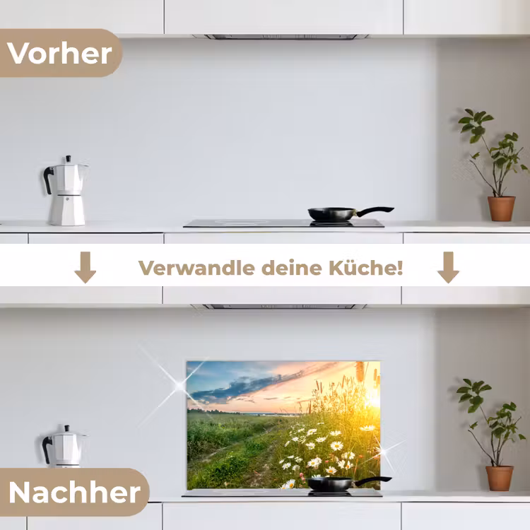 Bloemen - Madelief - Natuur - Zon - Horizon keuken achterwand spatscherm klein -voor_na_DE