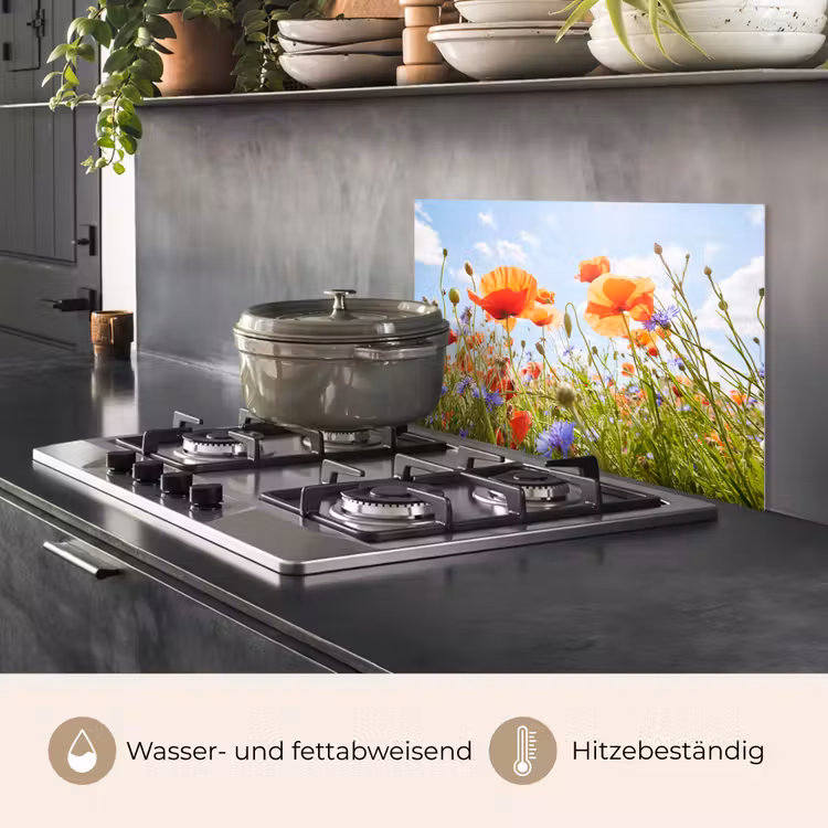 Bloemen - Klaproos - Lente - Natuur - Rood - Blauw keuken achterwand spatscherm klein -usp_DE