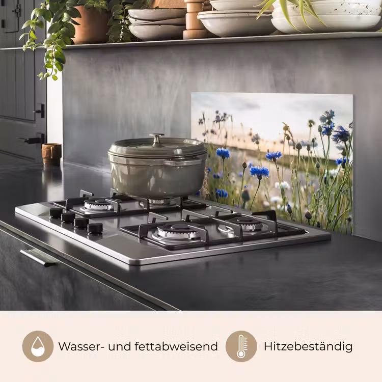 Bloemen - Zomer - Korenbloem - Blauw - Zon - Wolken keuken achterwand spatscherm klein -usp_DE