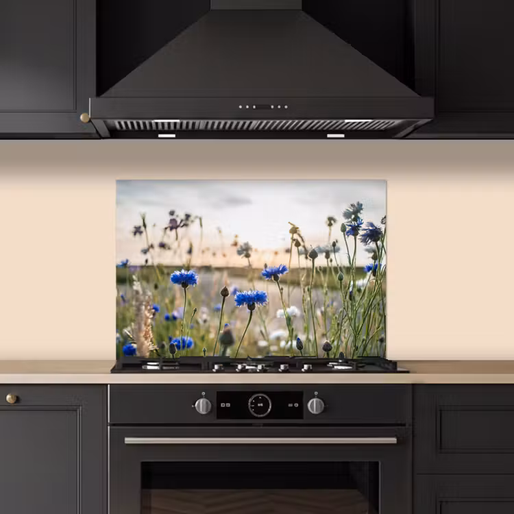 Bloemen - Zomer - Korenbloem - Blauw - Zon - Wolken keuken achterwand spatscherm klein -sfeer1