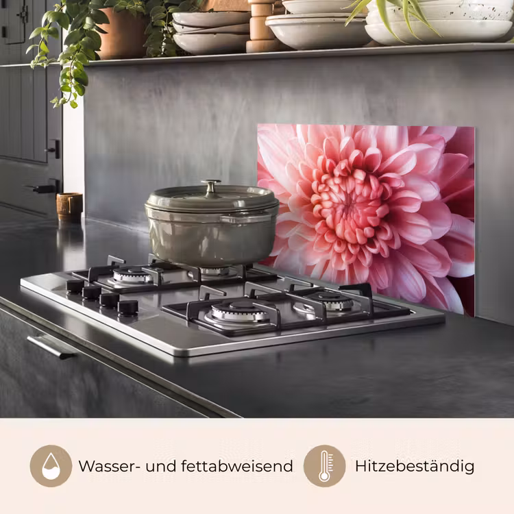 Dahlia - Bloem - Close up - Roze keuken achterwand spatscherm klein -usp_DE