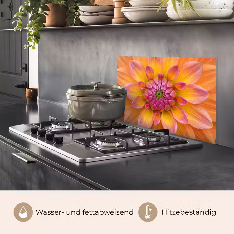 Dahlia - Bloem - Oranje keuken achterwand spatscherm klein -usp_DE