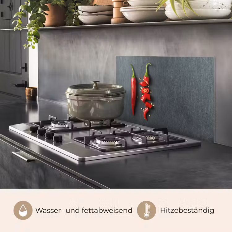 Het Spectrum van Pittigheid keuken achterwand spatscherm klein -usp_DE