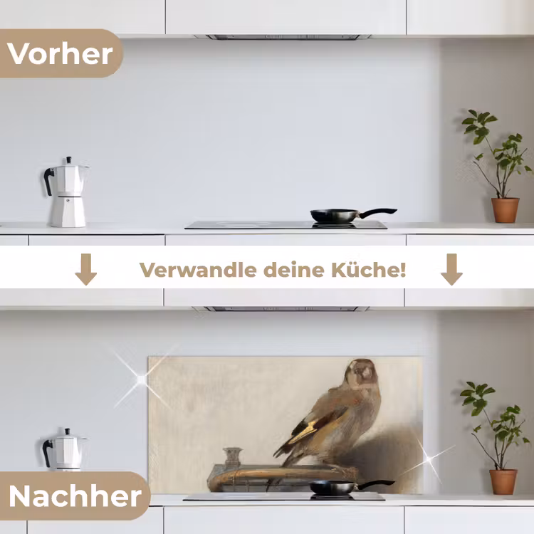 Het puttertje - Carel Fabritius keuken achterwand spatscherm middel -voor_na_DE