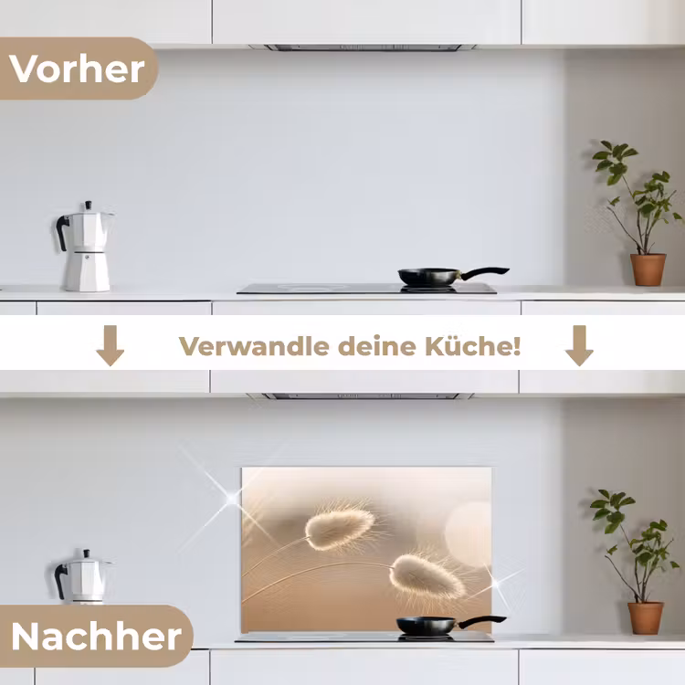 Hazestaartgras - Graanharen - Zonlicht keuken achterwand spatscherm klein -voor_na_DE
