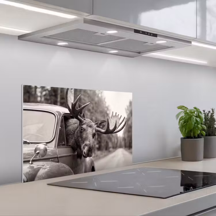 Eland - Auto - Gewei - Zwart - Wit keuken achterwand spatscherm klein -3d_schuin